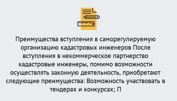 Почему нужно обратиться к нам? Кинель Что дает допуск СРО кадастровых инженеров?