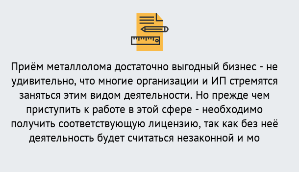 Почему нужно обратиться к нам? Кинель Лицензия на металлолом. Порядок получения лицензии. В Кинель