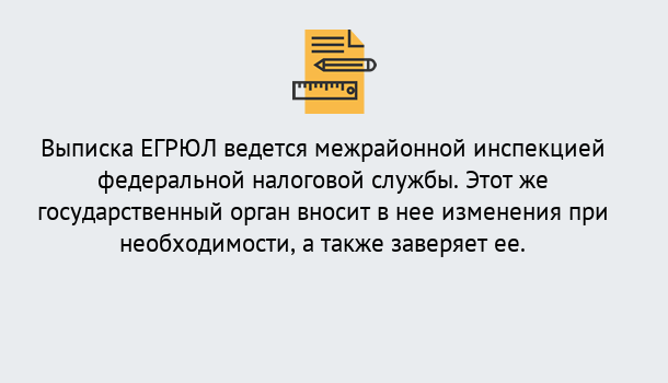 Почему нужно обратиться к нам? Кинель Выписка ЕГРЮЛ в Кинель ?