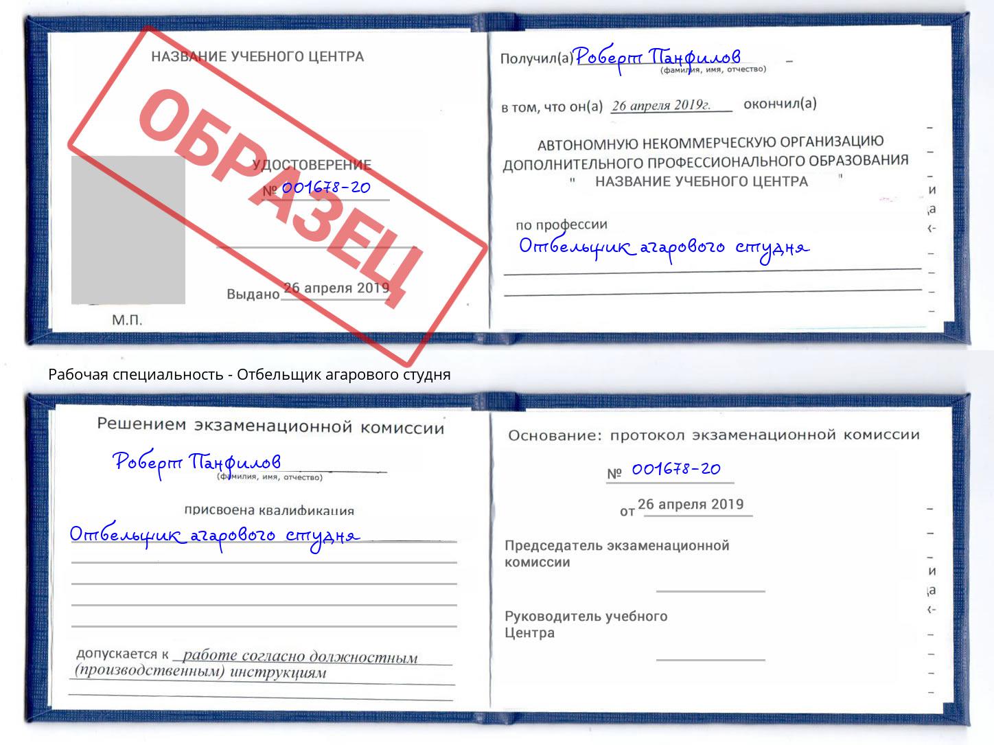 Отбельщик агарового студня Кинель