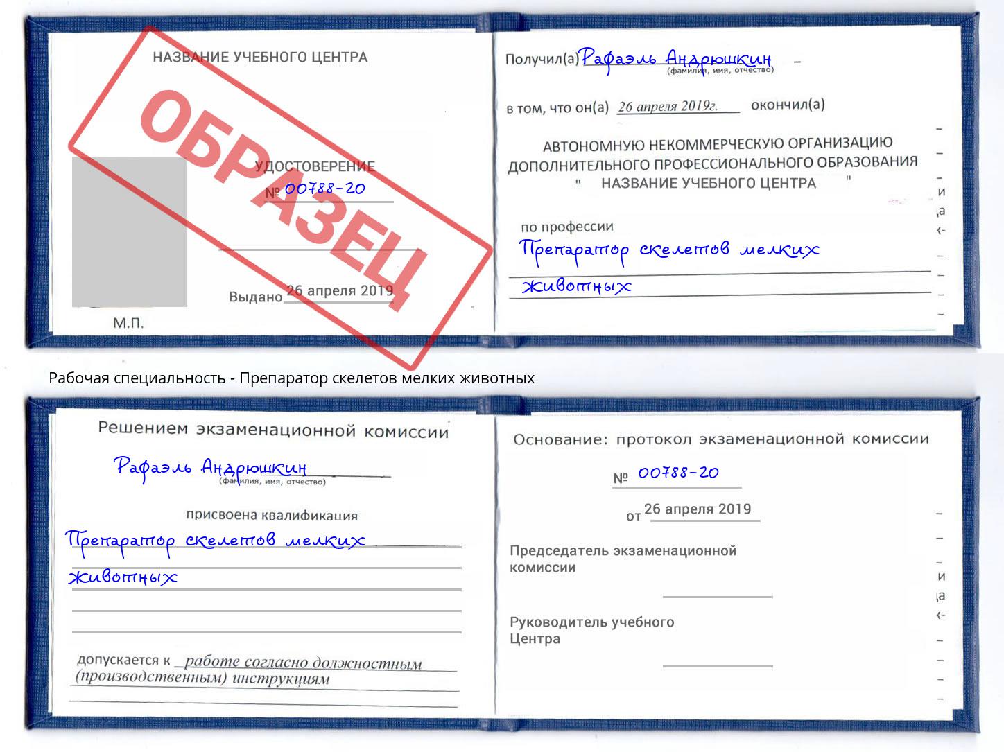 Препаратор скелетов мелких животных Кинель