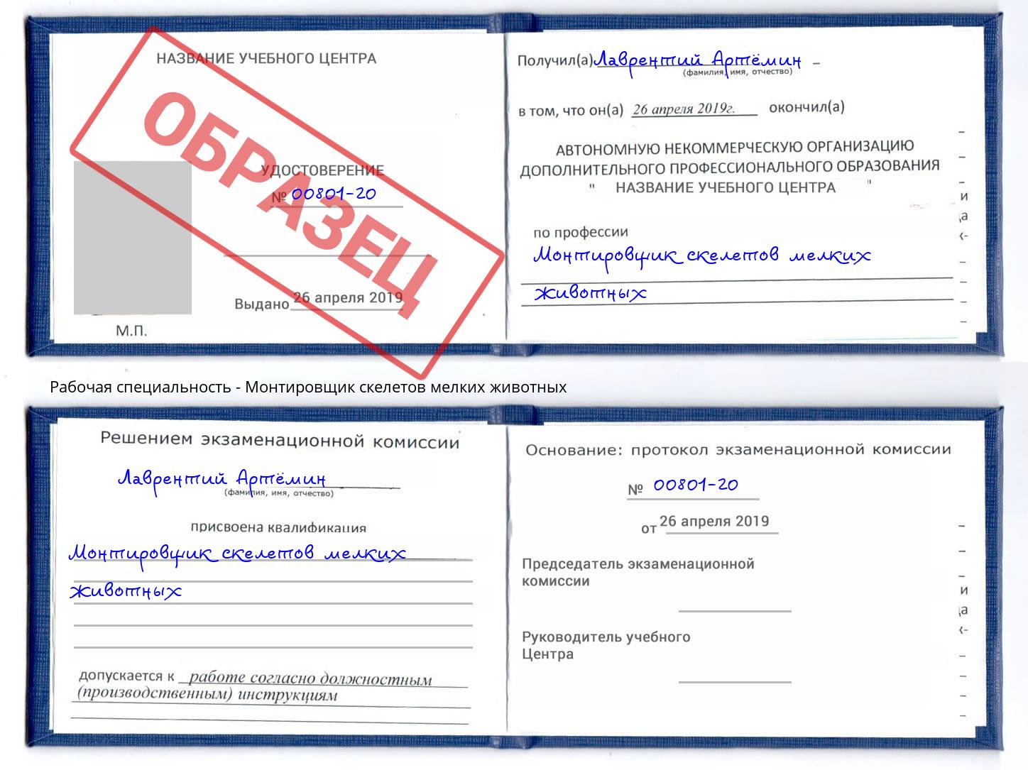 Монтировщик скелетов мелких животных Кинель