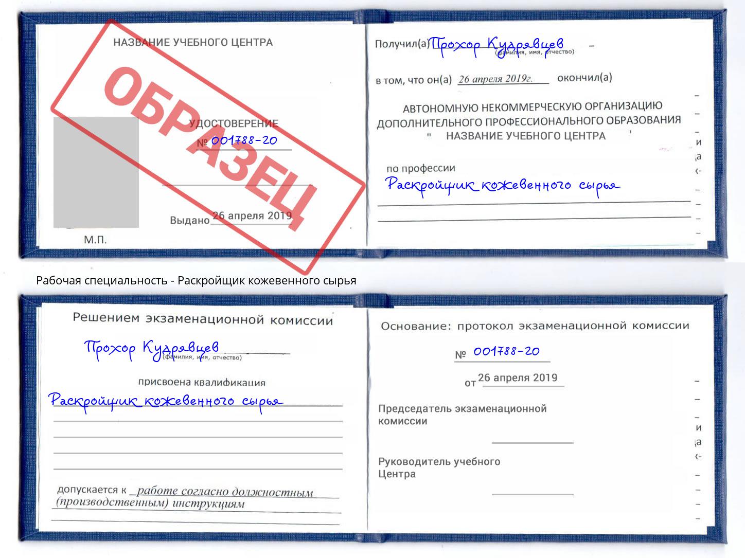 Раскройщик кожевенного сырья Кинель
