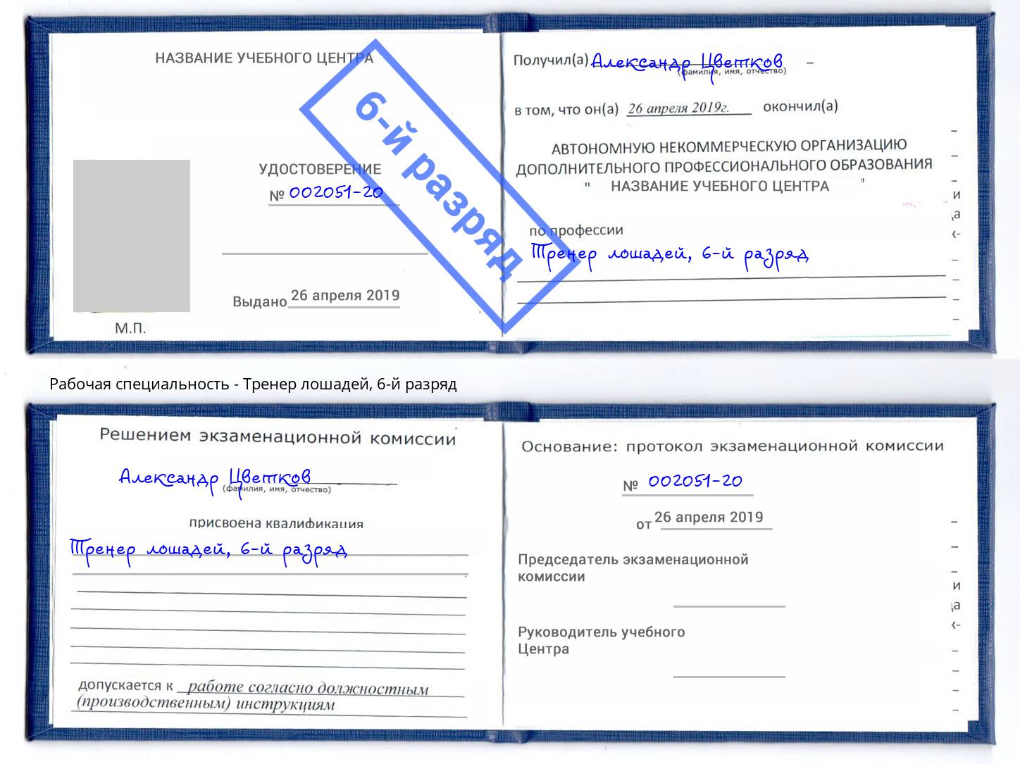 корочка 6-й разряд Тренер лошадей Кинель